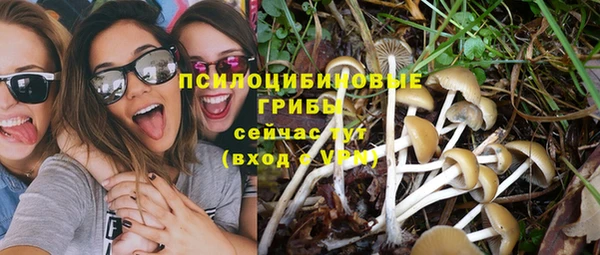твердый Касимов